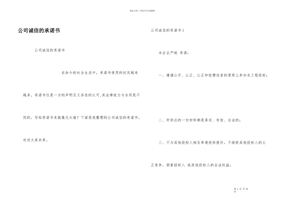 公司诚信的承诺书_第1页