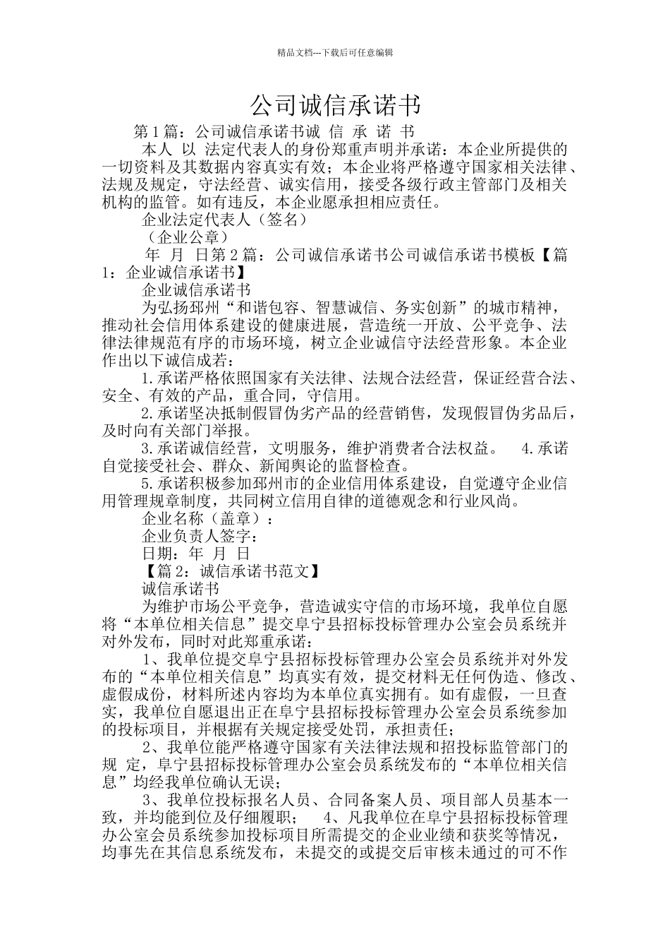 公司诚信承诺书_第1页