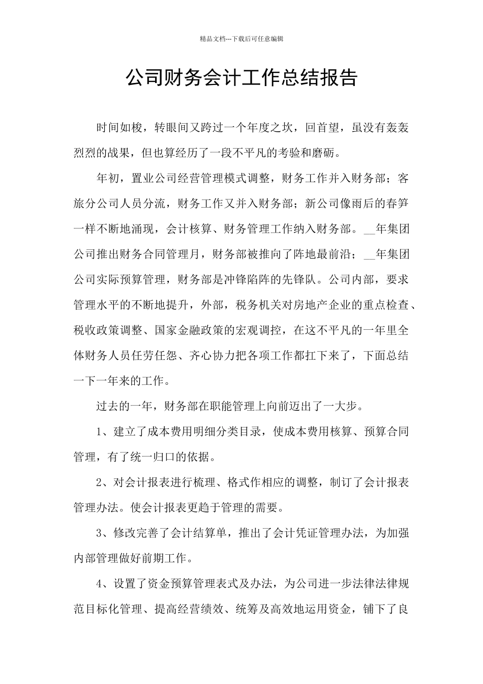 公司财务会计工作总结报告_第1页