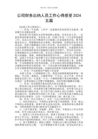 公司财务出纳人员工作心得感受2024五篇