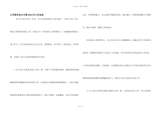 公司财务会计主管2024年工作总结