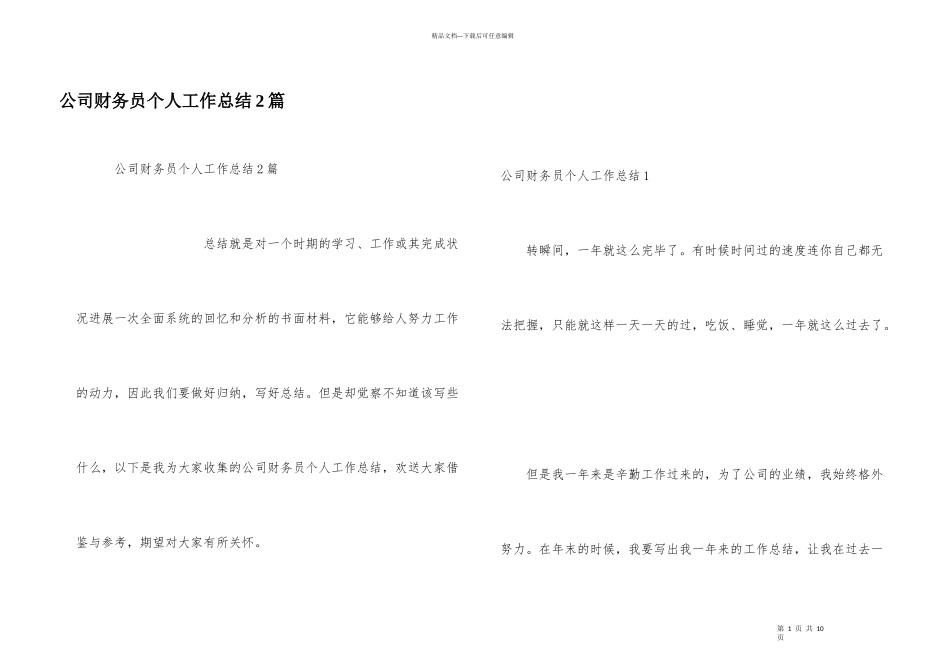 公司财务员个人工作总结2篇_第1页