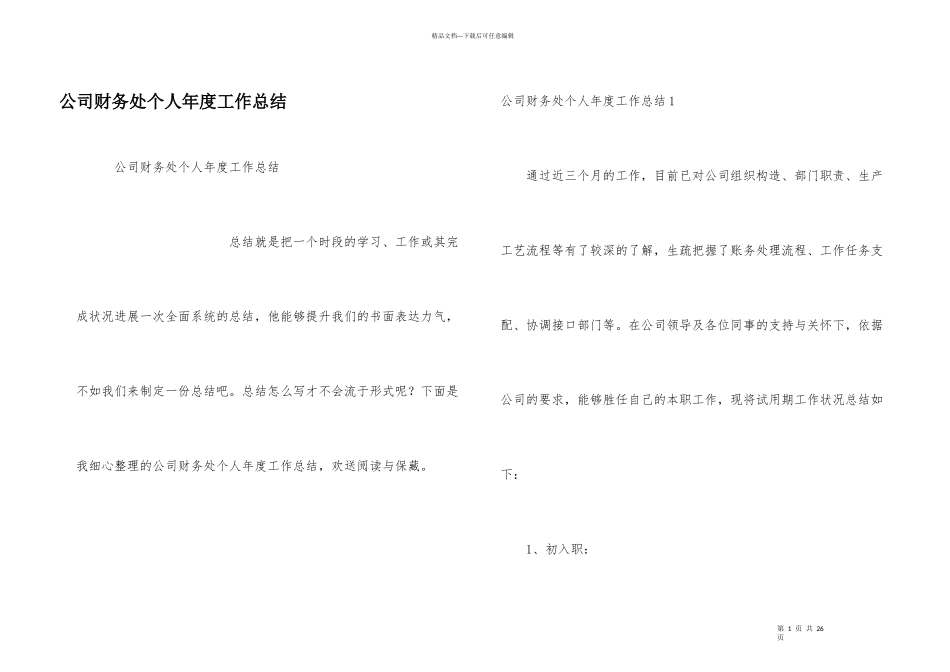 公司财务处个人年度工作总结_第1页