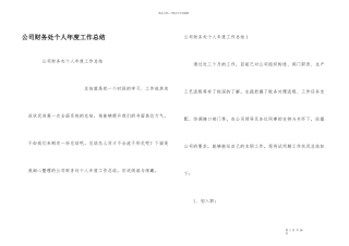 公司财务处个人年度工作总结