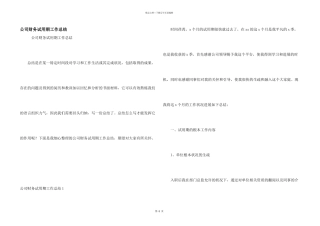 公司财务试用期工作总结