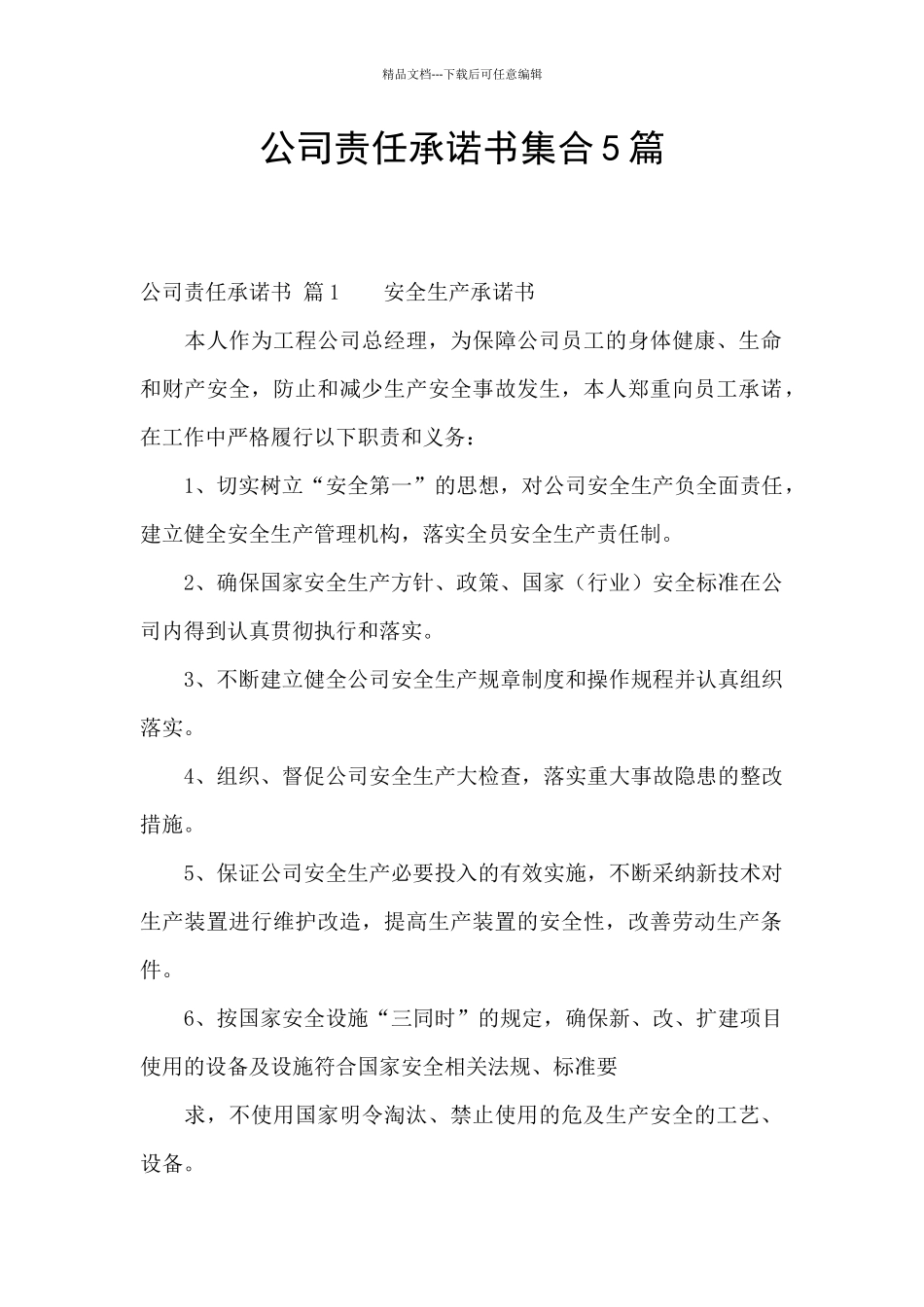 公司责任承诺书集合5篇_第1页
