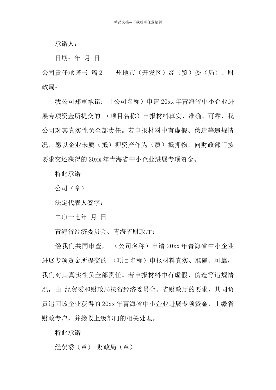 公司责任承诺书集合5篇_第3页