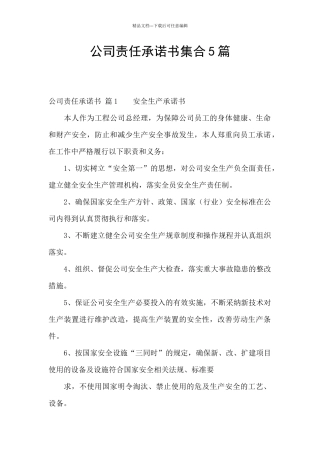 公司责任承诺书集合5篇