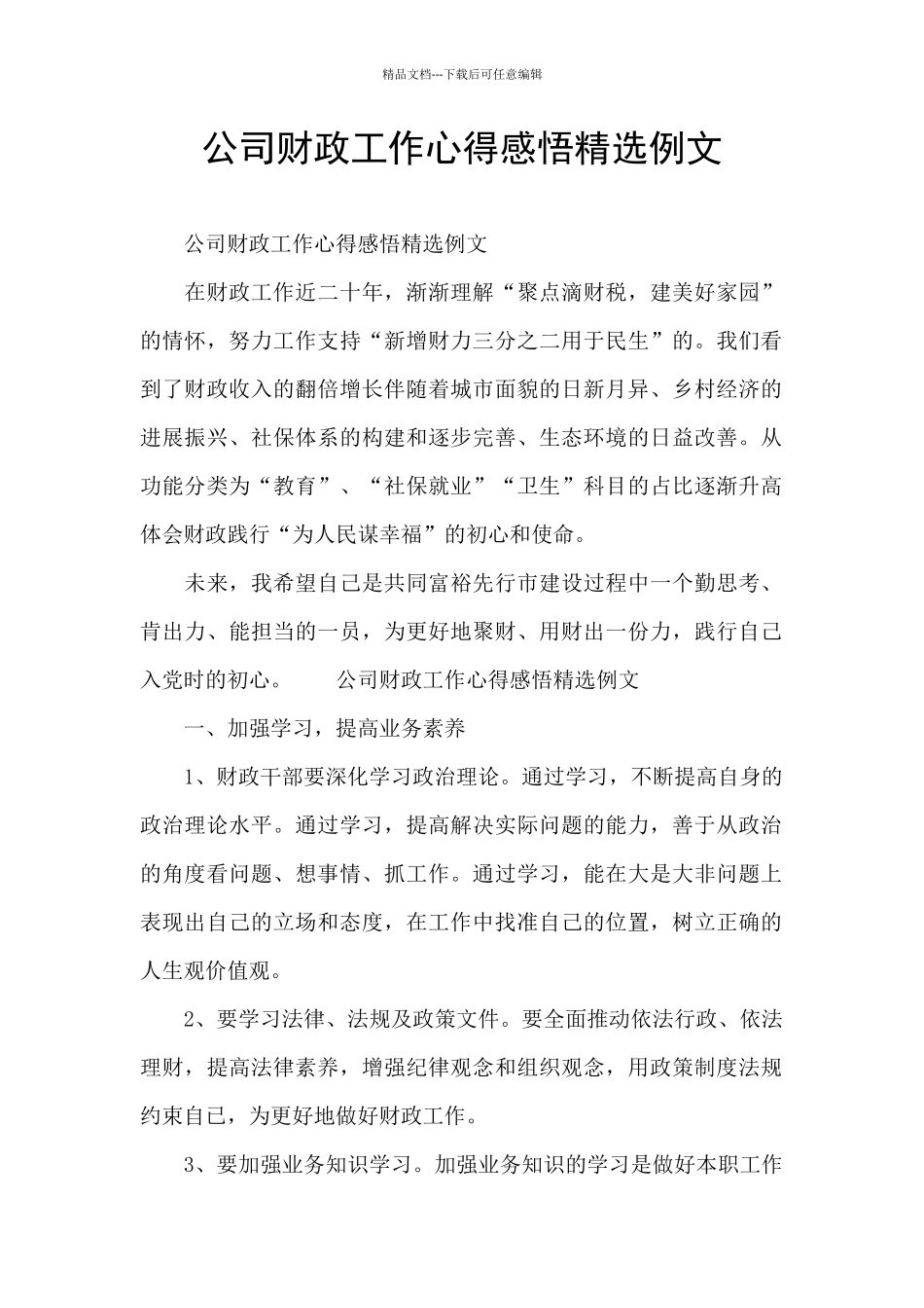 公司财政工作心得感悟精选例文_第1页