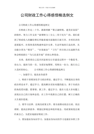 公司财政工作心得感悟精选例文