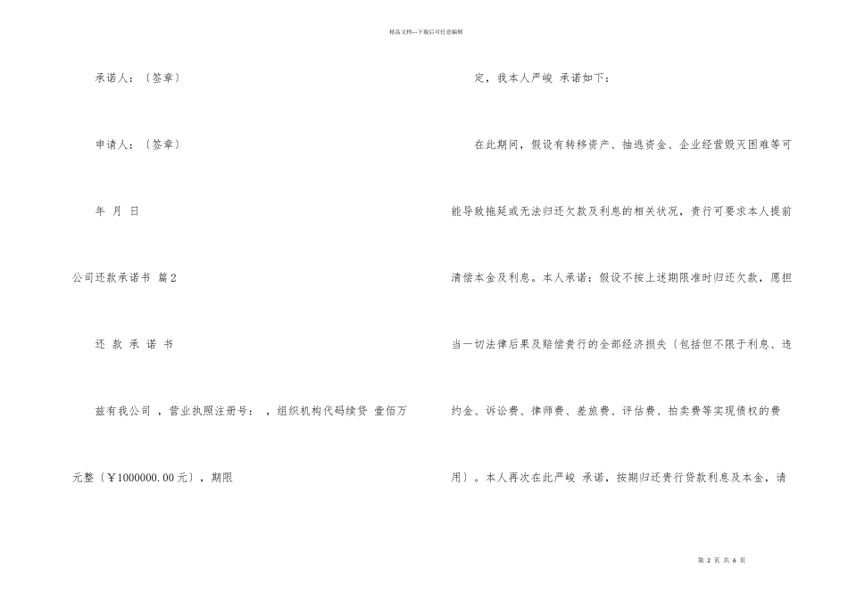 公司还款承诺书六篇_第2页