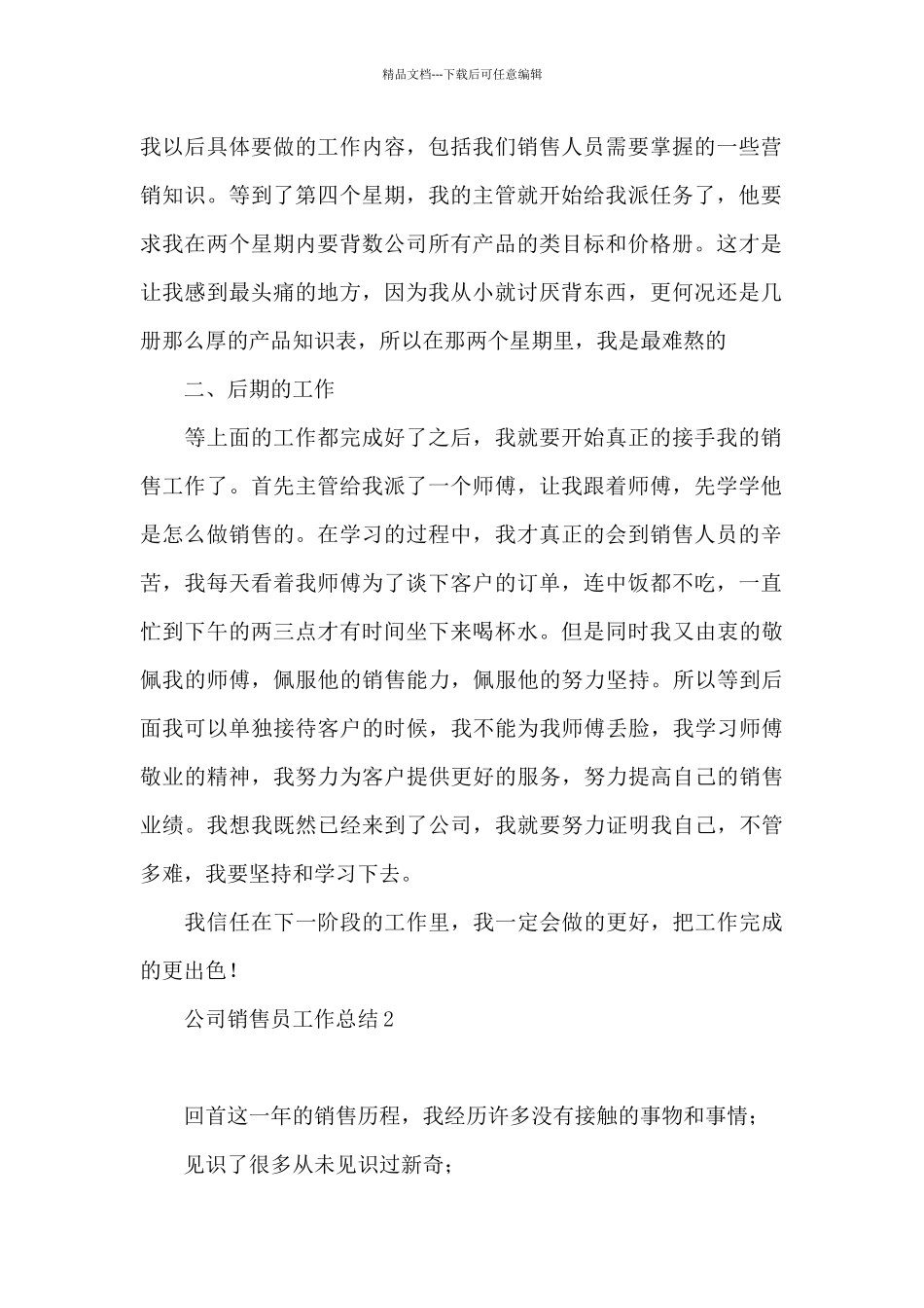 公司销售员工作总结1_第2页