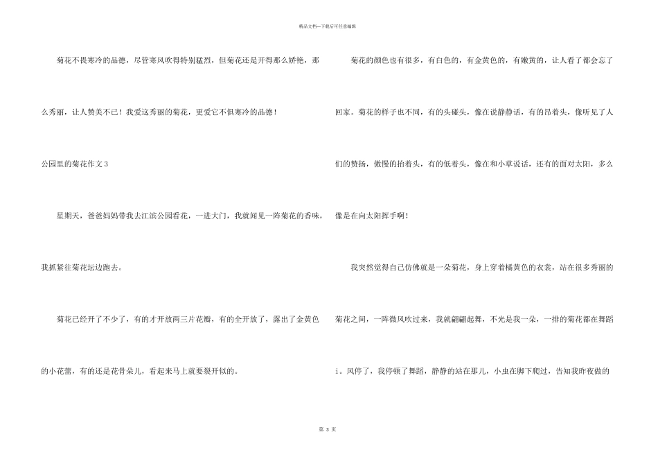 公园里的菊花_第3页