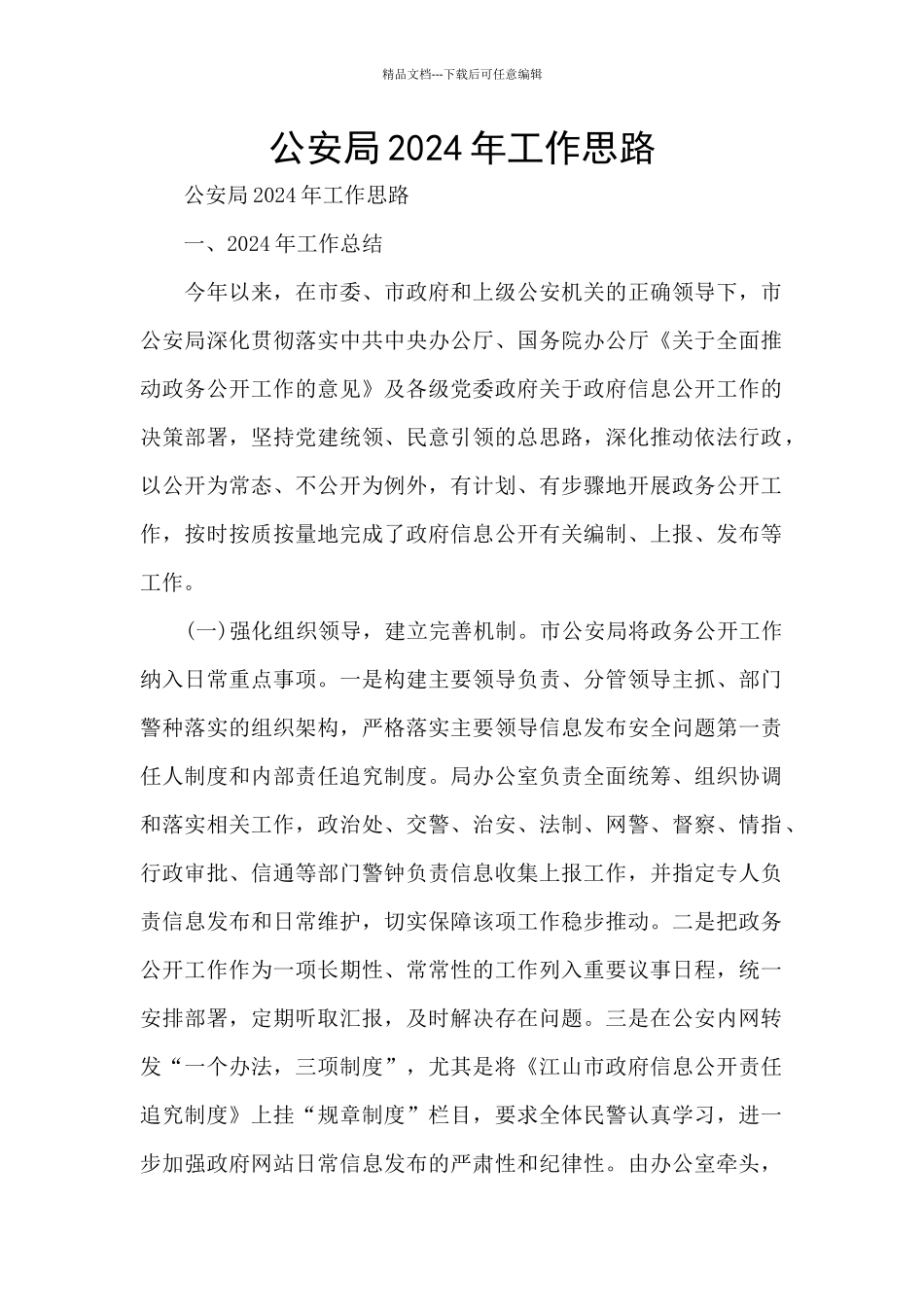 公安局2024年工作思路_第1页