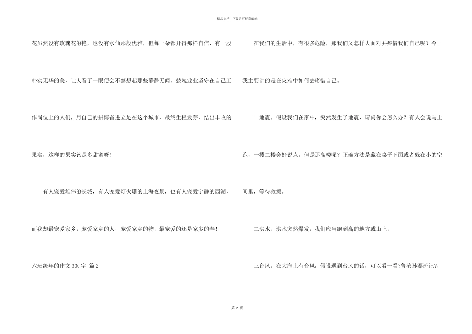 六年级年300字四篇_第2页