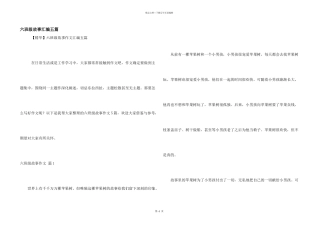 六年级故事汇编五篇