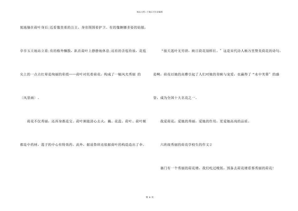 六年级美丽的荷花小学生的_第2页