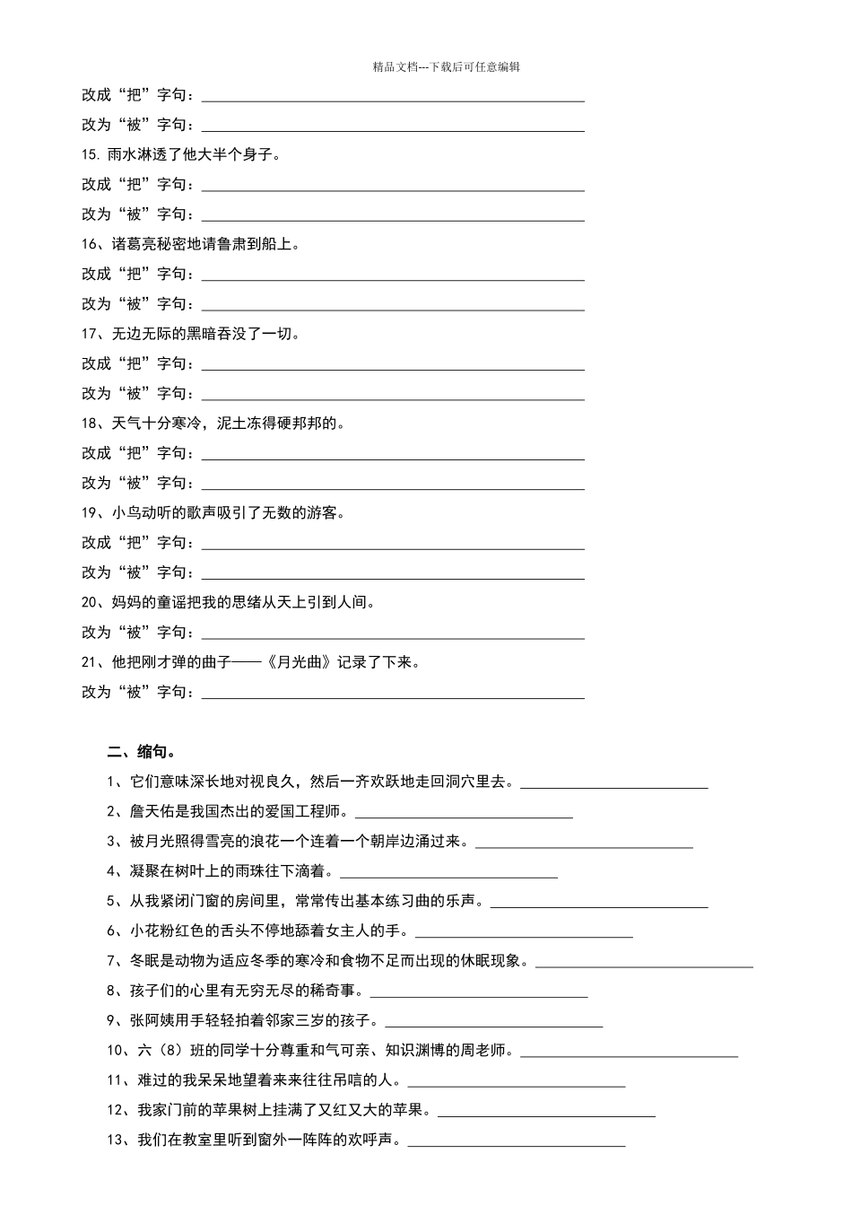 六年级语文句子专项练习_第2页