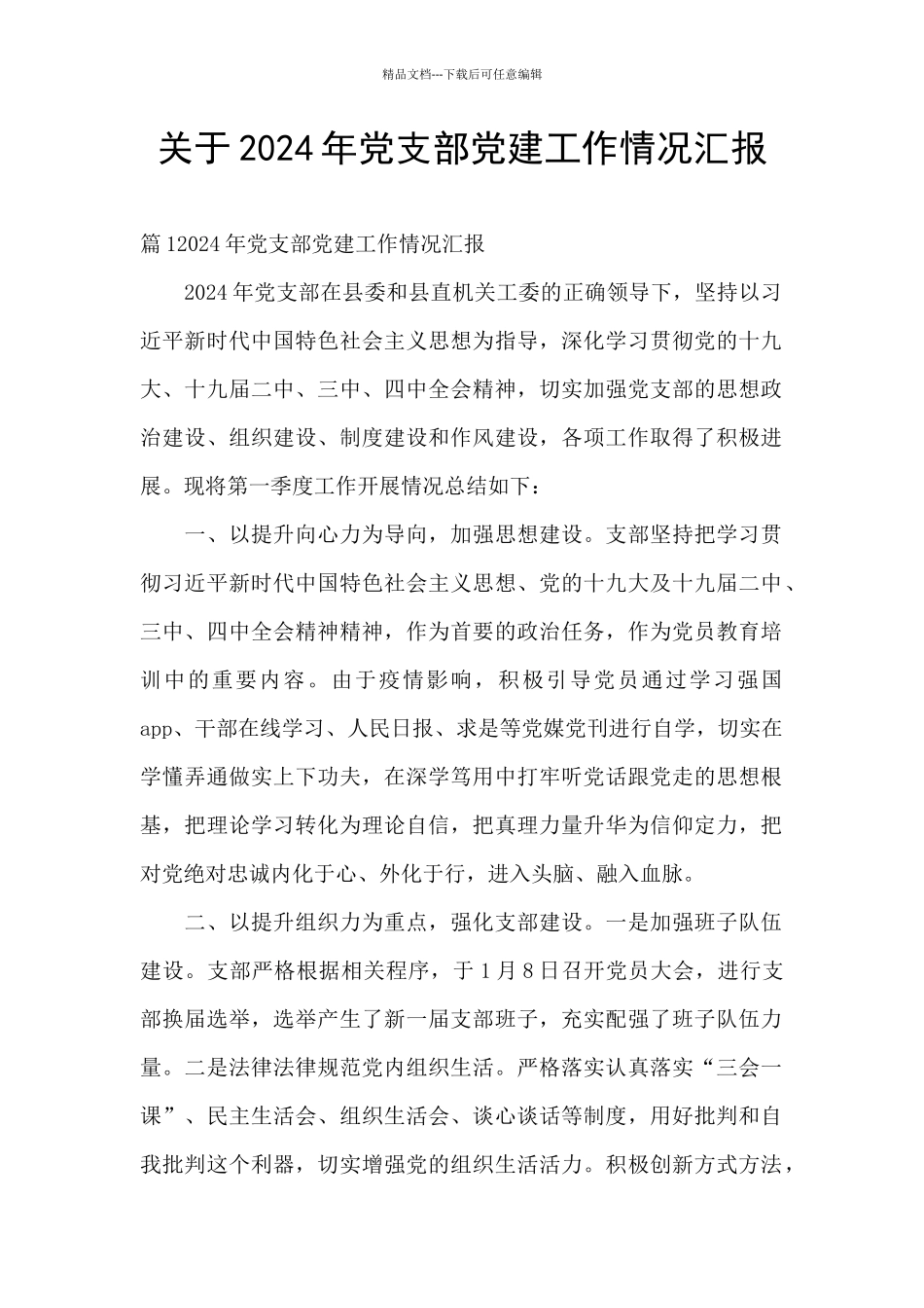 关于2024年党支部党建工作情况汇报_第1页