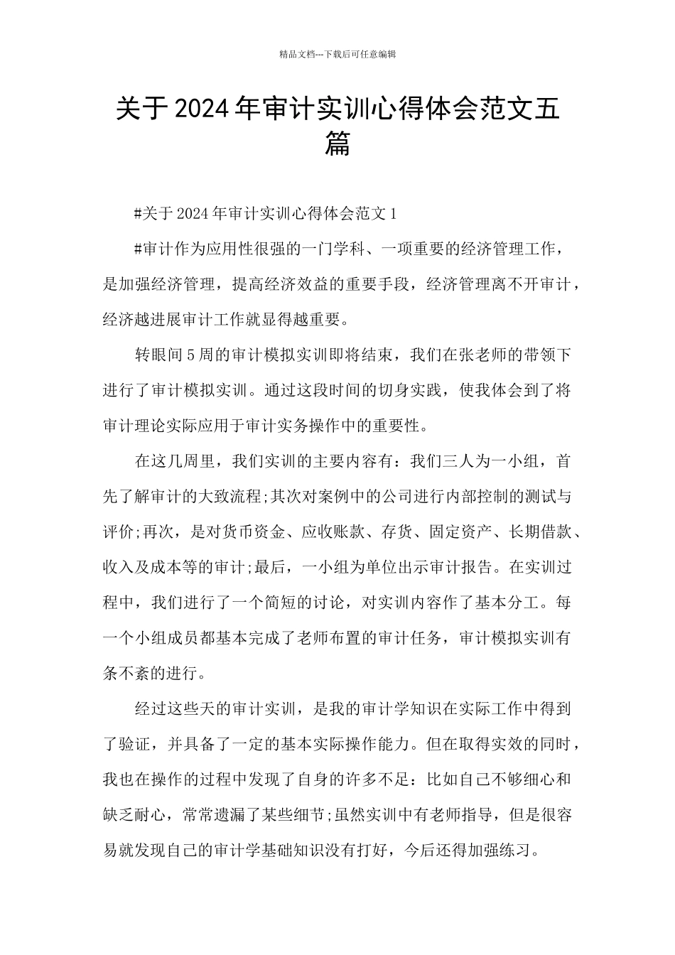 关于2024年审计实训心得体会范文五篇_第1页