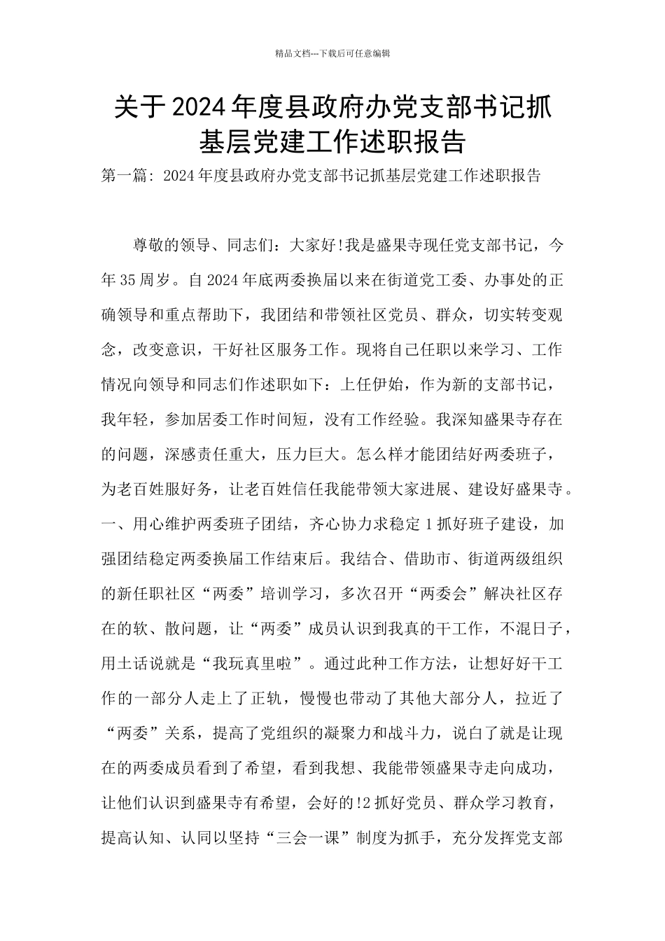 关于2024年度县政府办党支部书记抓基层党建工作述职报告_第1页
