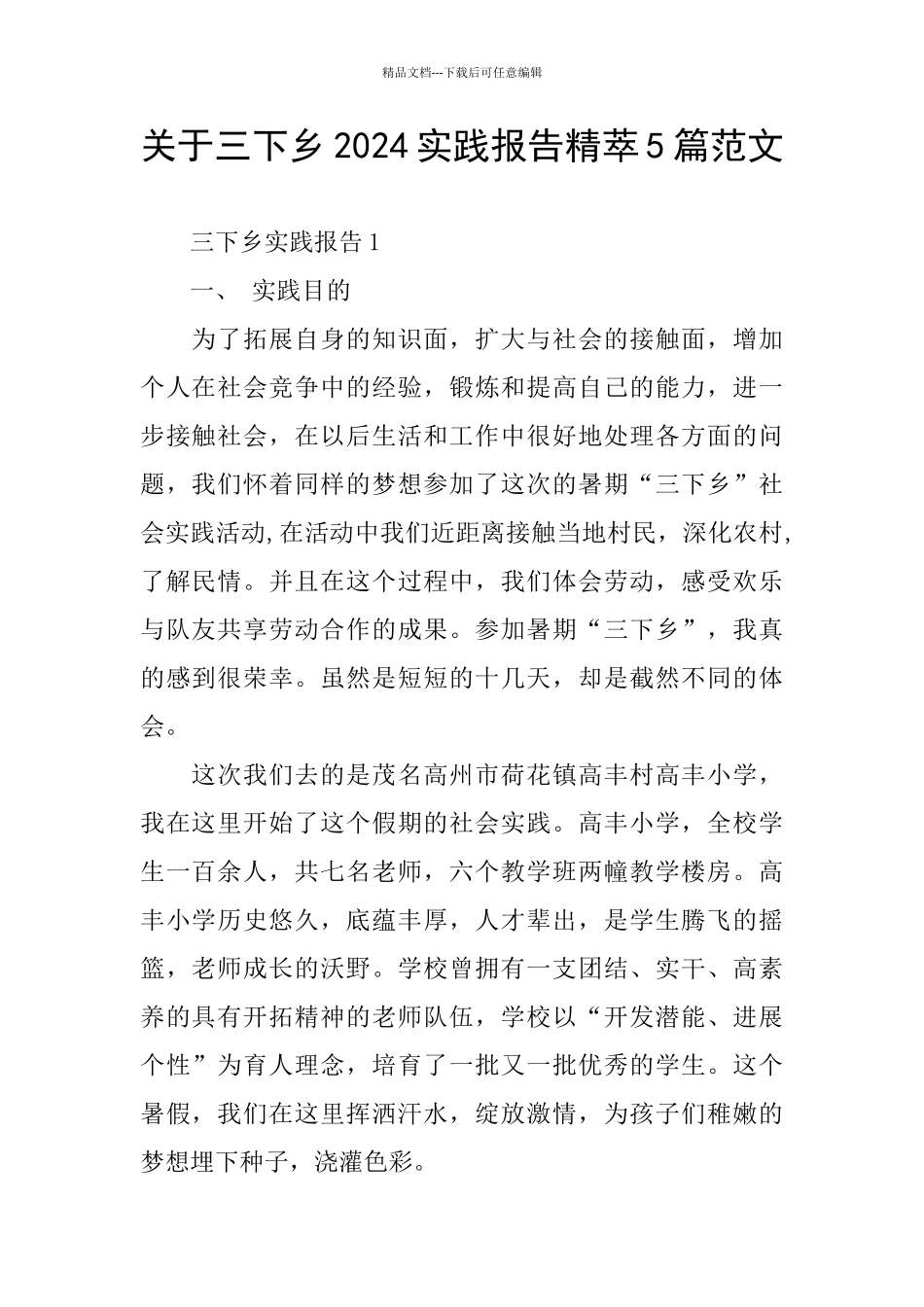 关于三下乡2024实践报告精萃5篇范文_第1页
