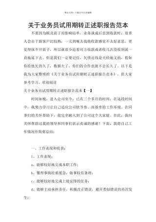 关于业务员试用期转正述职报告范本