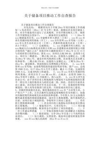 关于储备项目推进工作自查报告