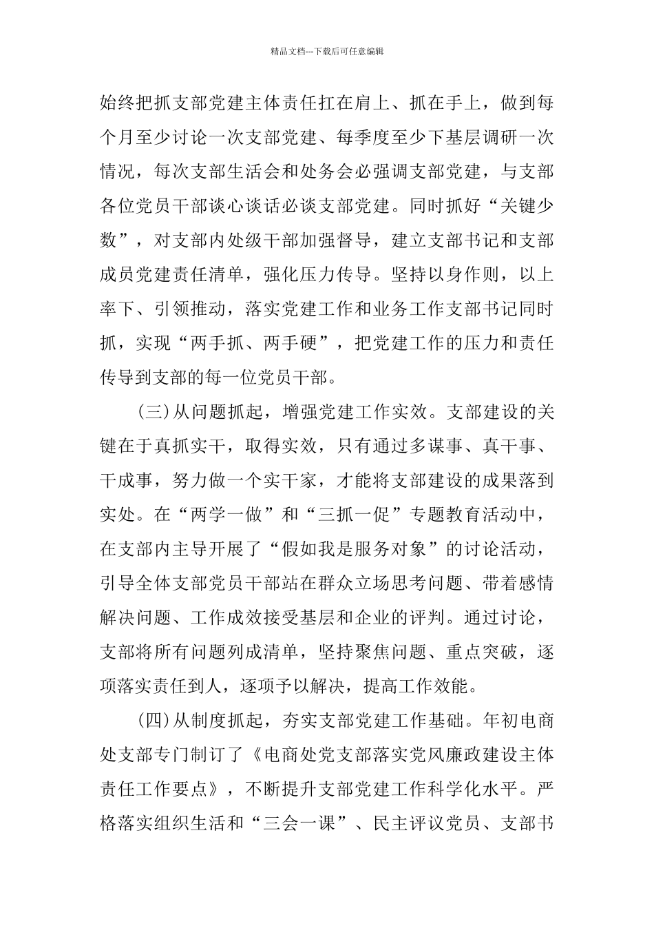关于党支部书记述职报告2024热门5篇_第2页