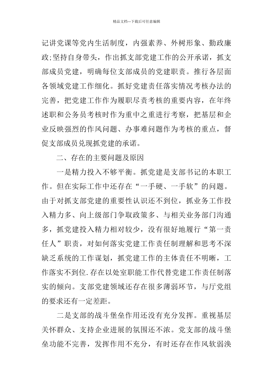 关于党支部书记述职报告2024热门5篇_第3页