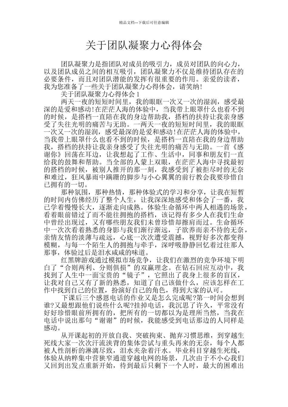 关于团队凝聚力心得体会_第1页