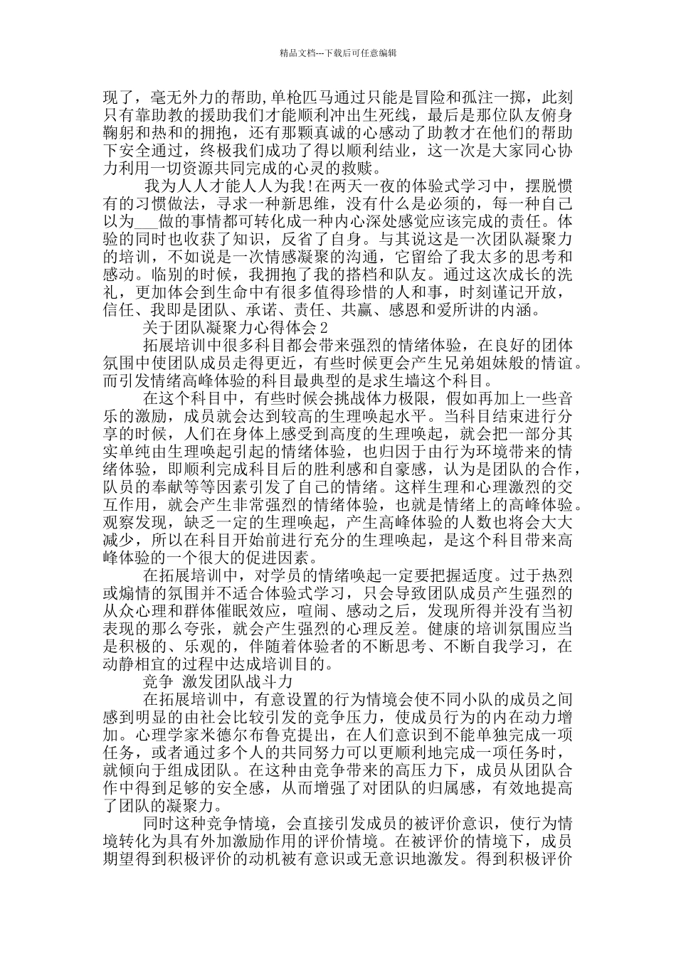 关于团队凝聚力心得体会_第2页