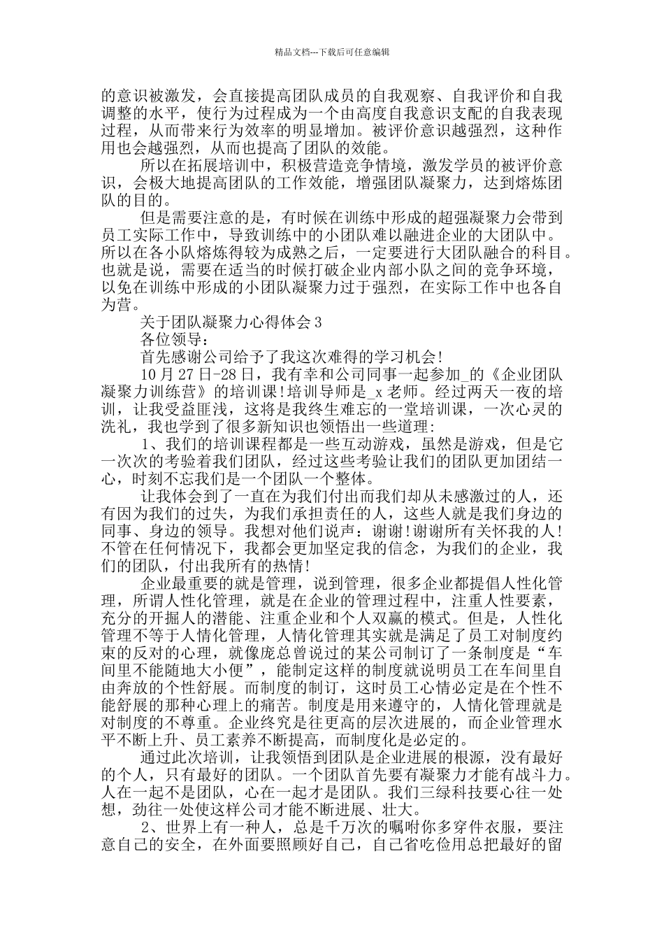 关于团队凝聚力心得体会_第3页