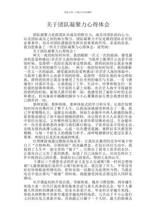 关于团队凝聚力心得体会
