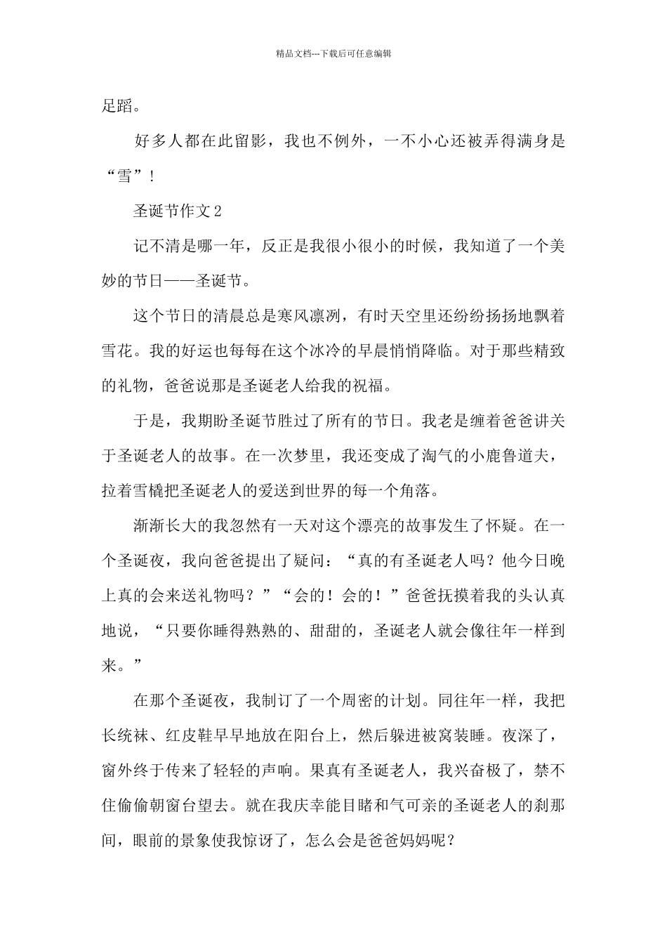 关于圣诞节作文精选优秀范文_第2页