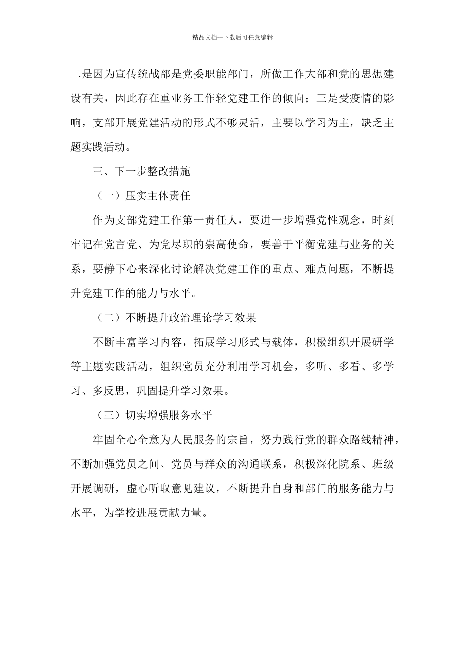 关于宣传统战部党支部2024年抓党建述职报告_第3页