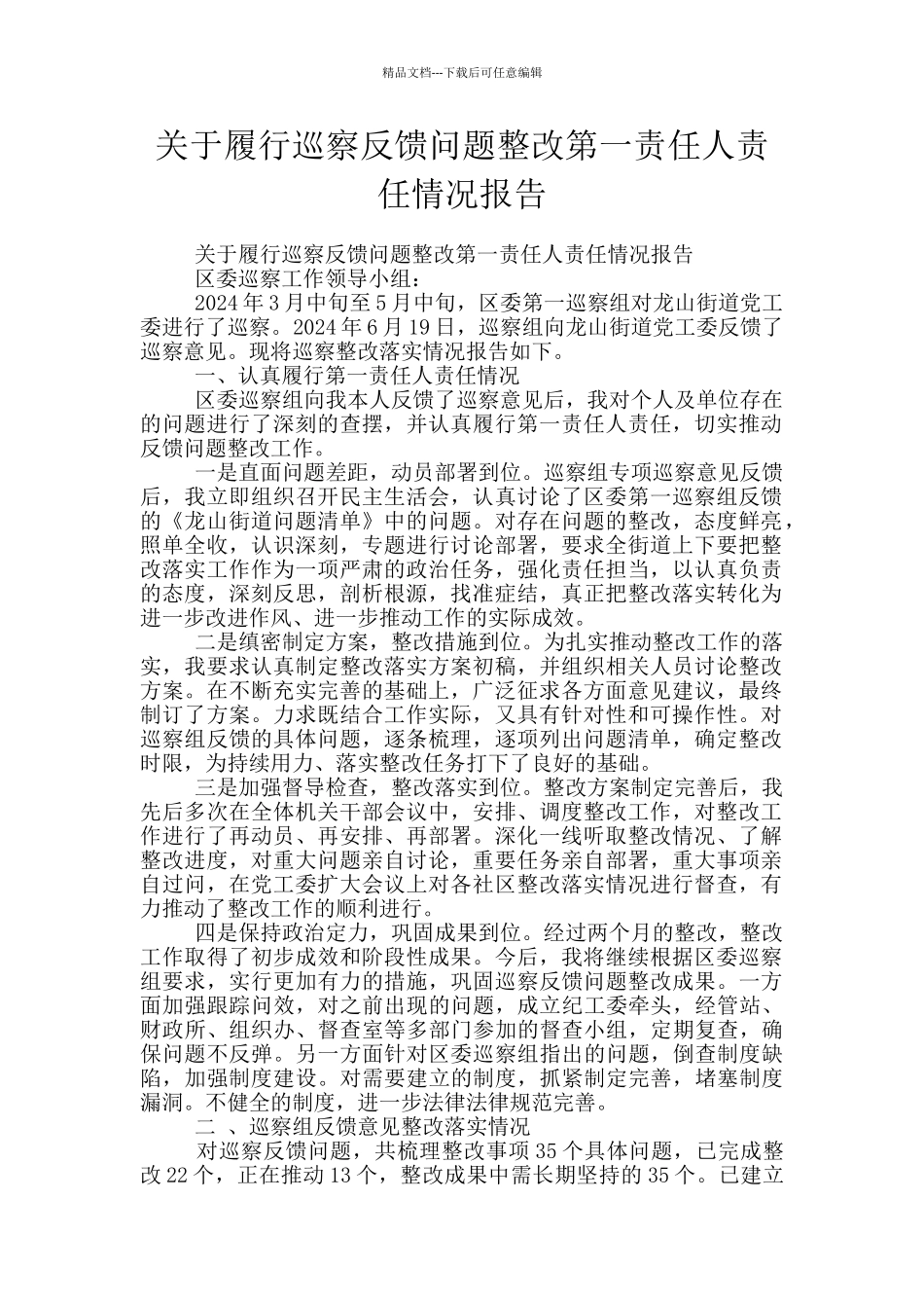 关于履行巡察反馈问题整改第一责任人责任情况报告_第1页