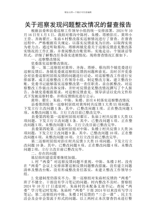 关于巡察发现问题整改情况的督查报告