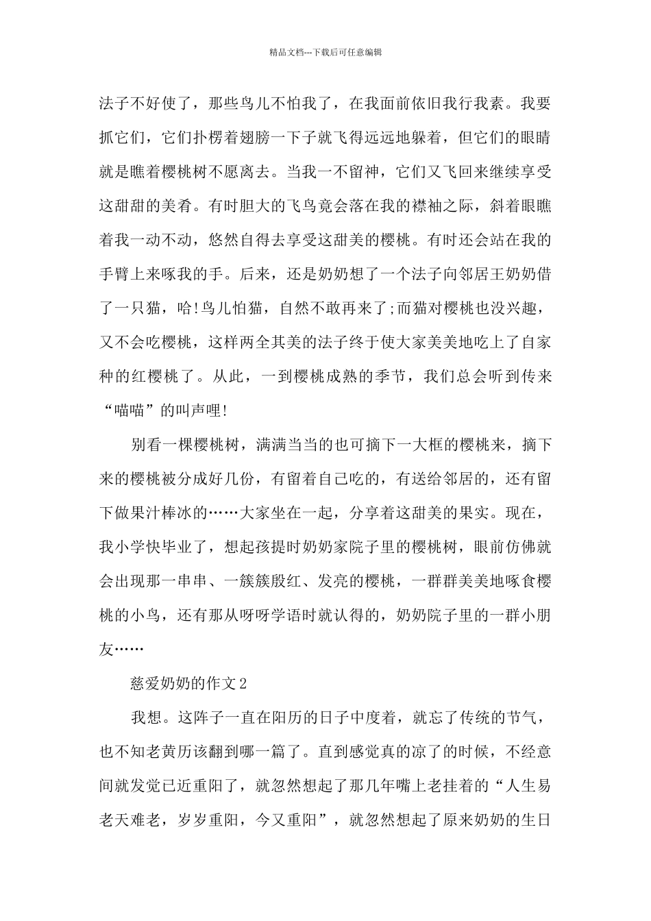 关于慈祥奶奶的作文5篇_第2页