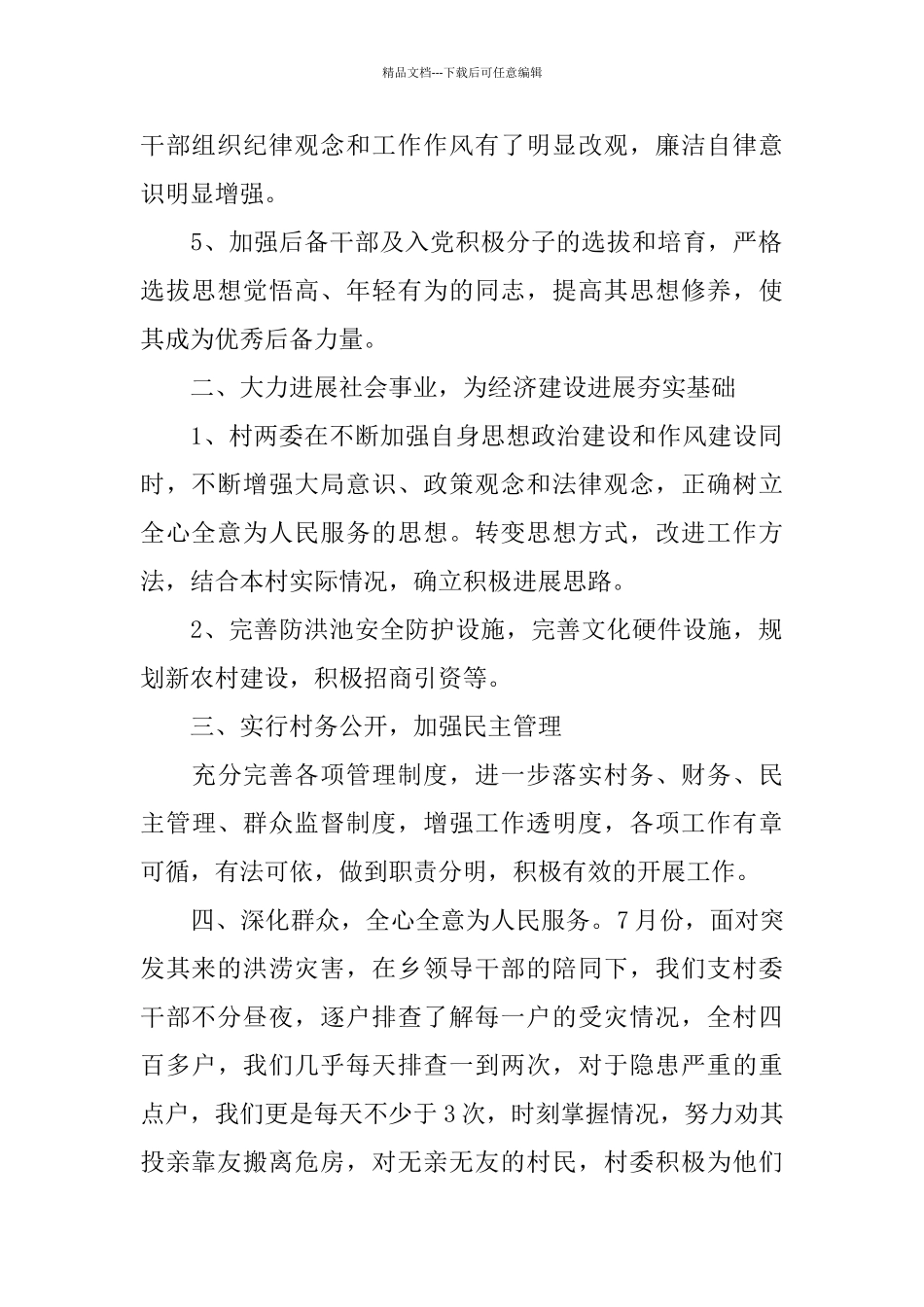 关于村党支书2024述职报告范文_第2页