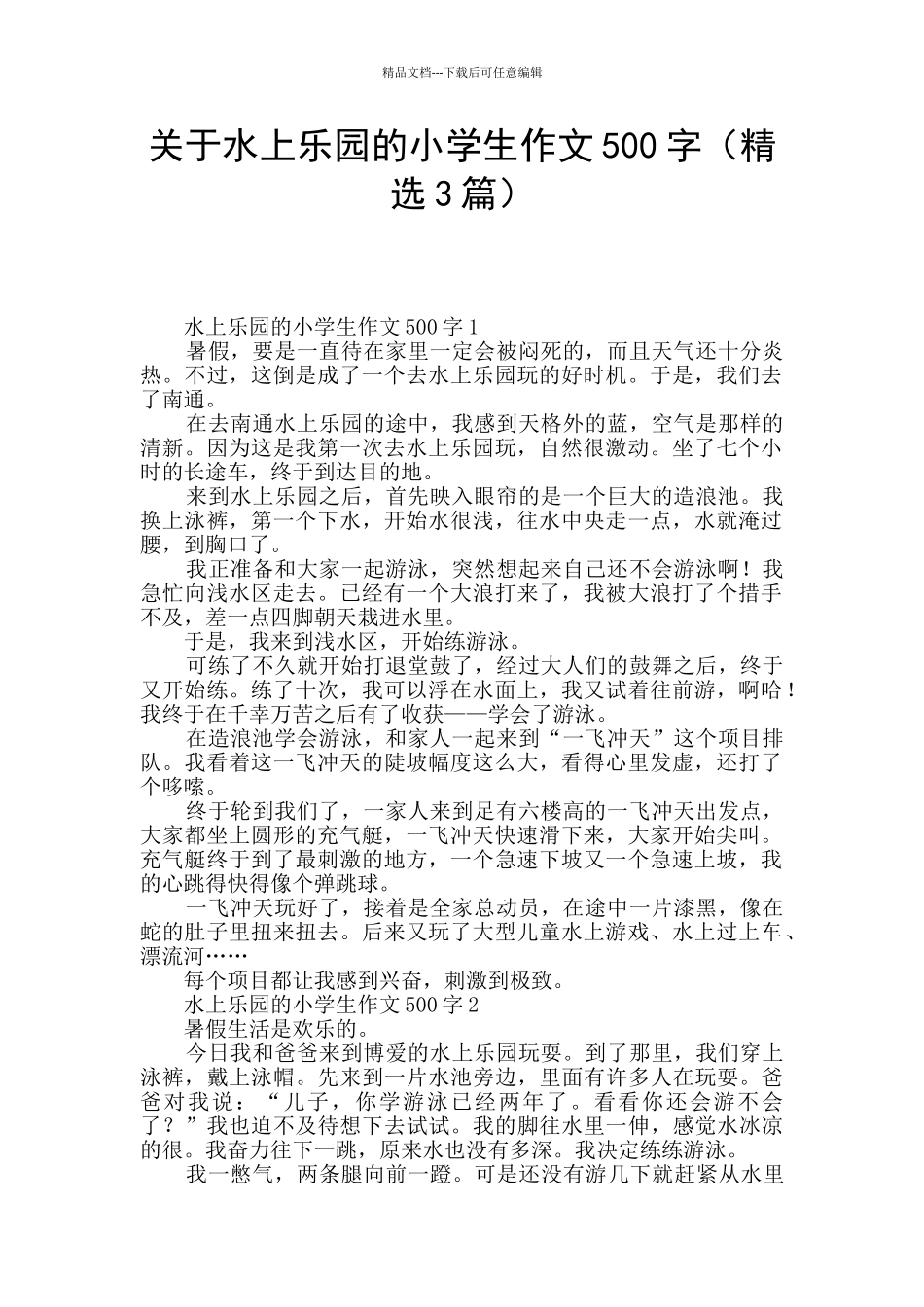 关于水上乐园的小学生作文500字_第1页