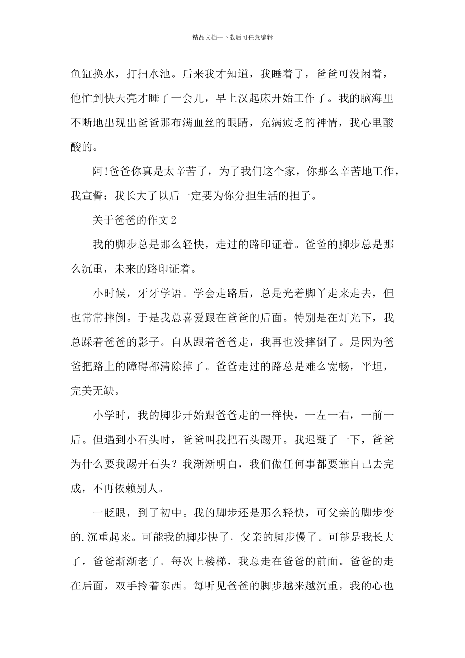 关于爸爸的作文5篇范文_第2页