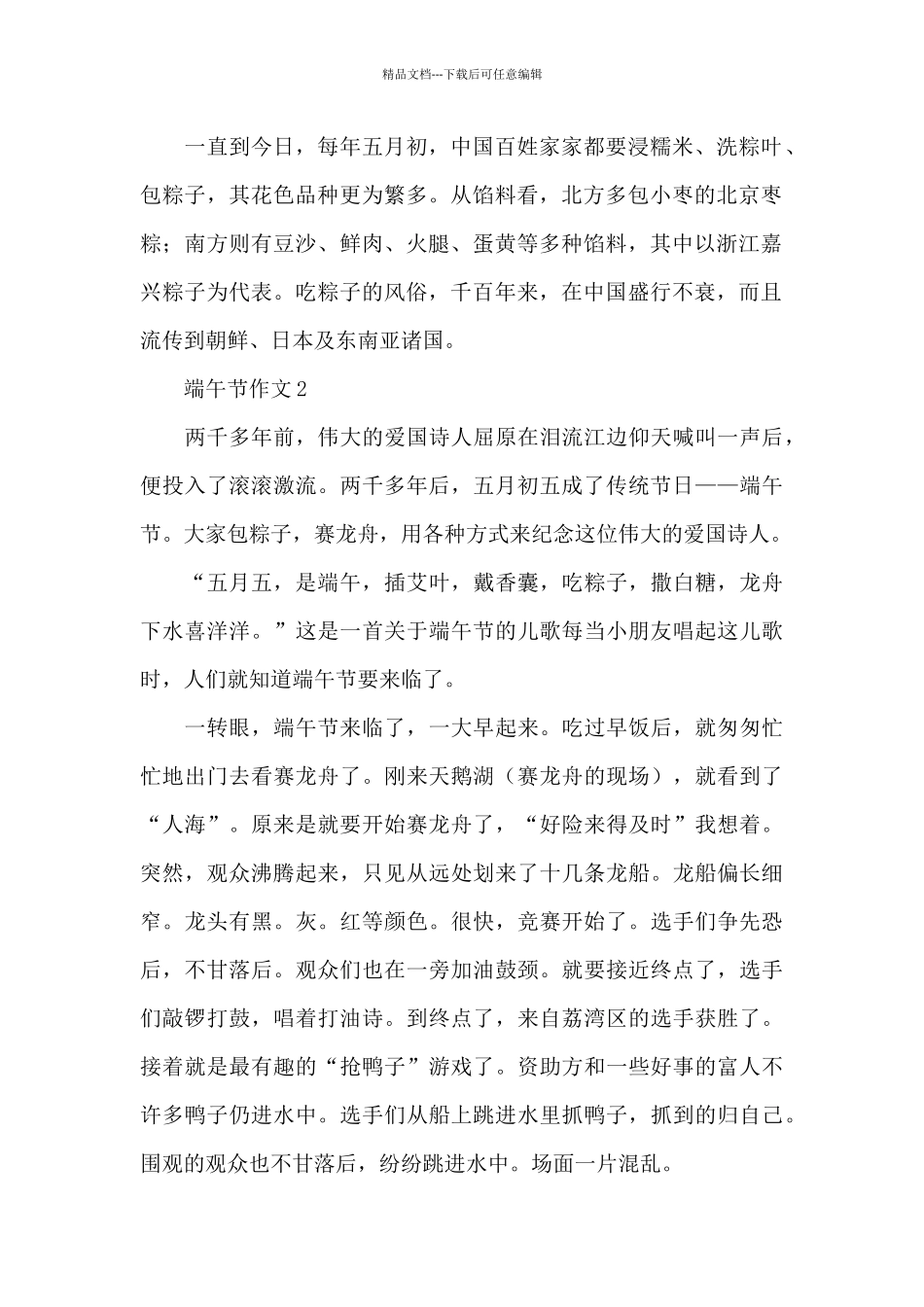 关于端午节作文精选5篇优秀范文_第2页