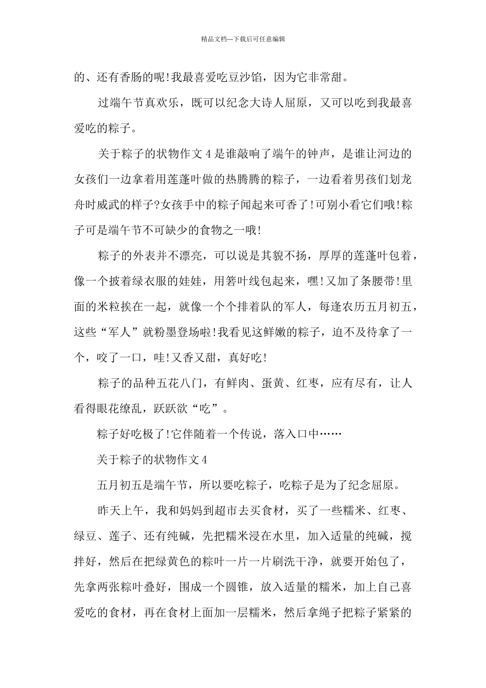 关于粽子的状物作文6篇_第3页