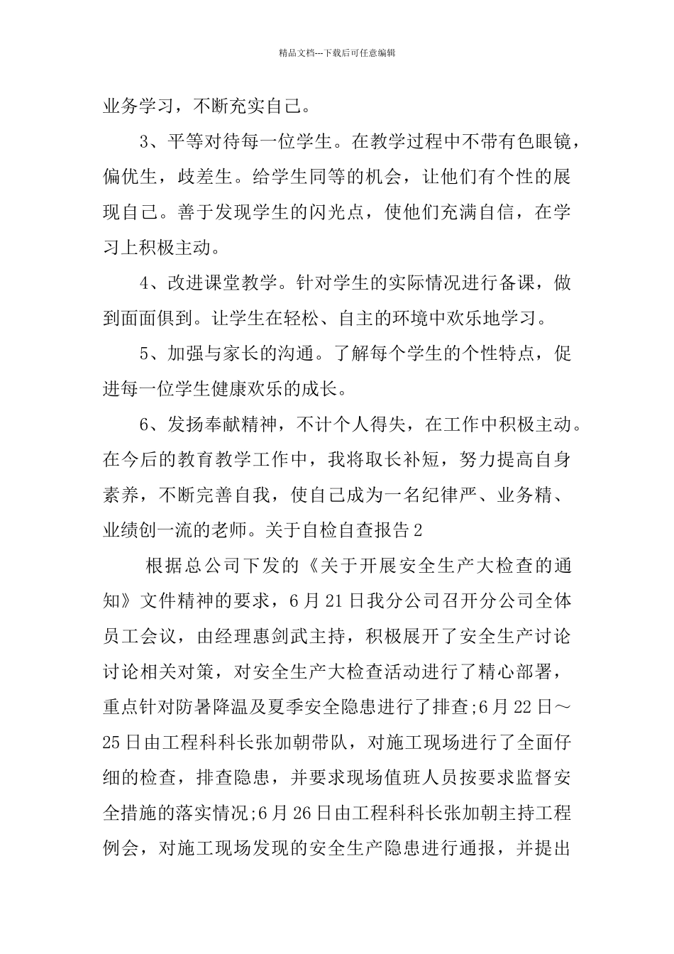 关于自检自查报告_第3页