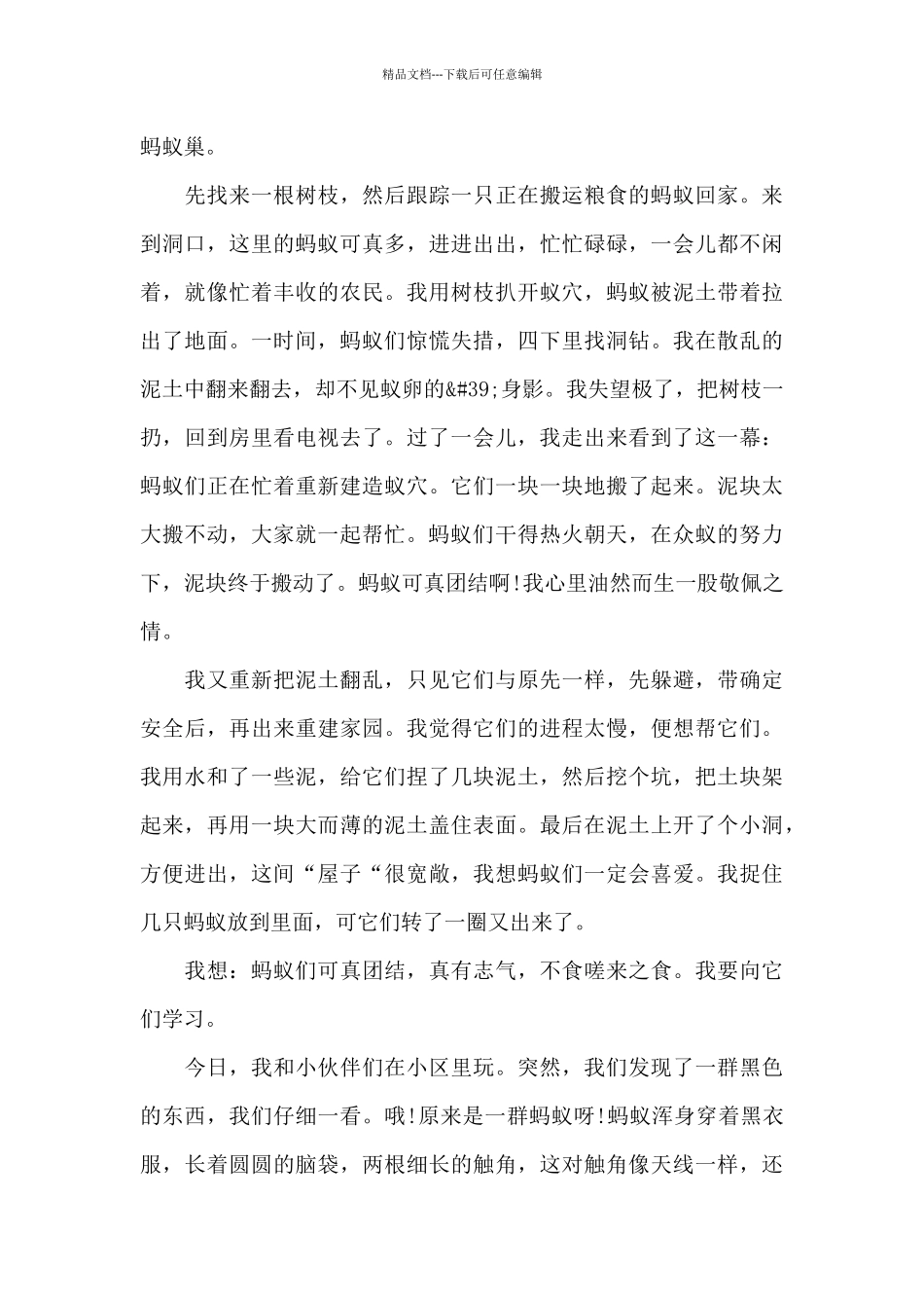 关于蚂蚁作文范文八篇_第3页