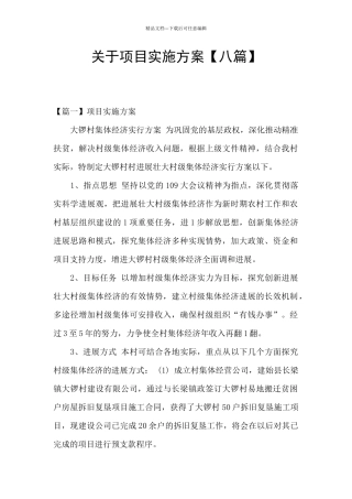关于项目实施方案