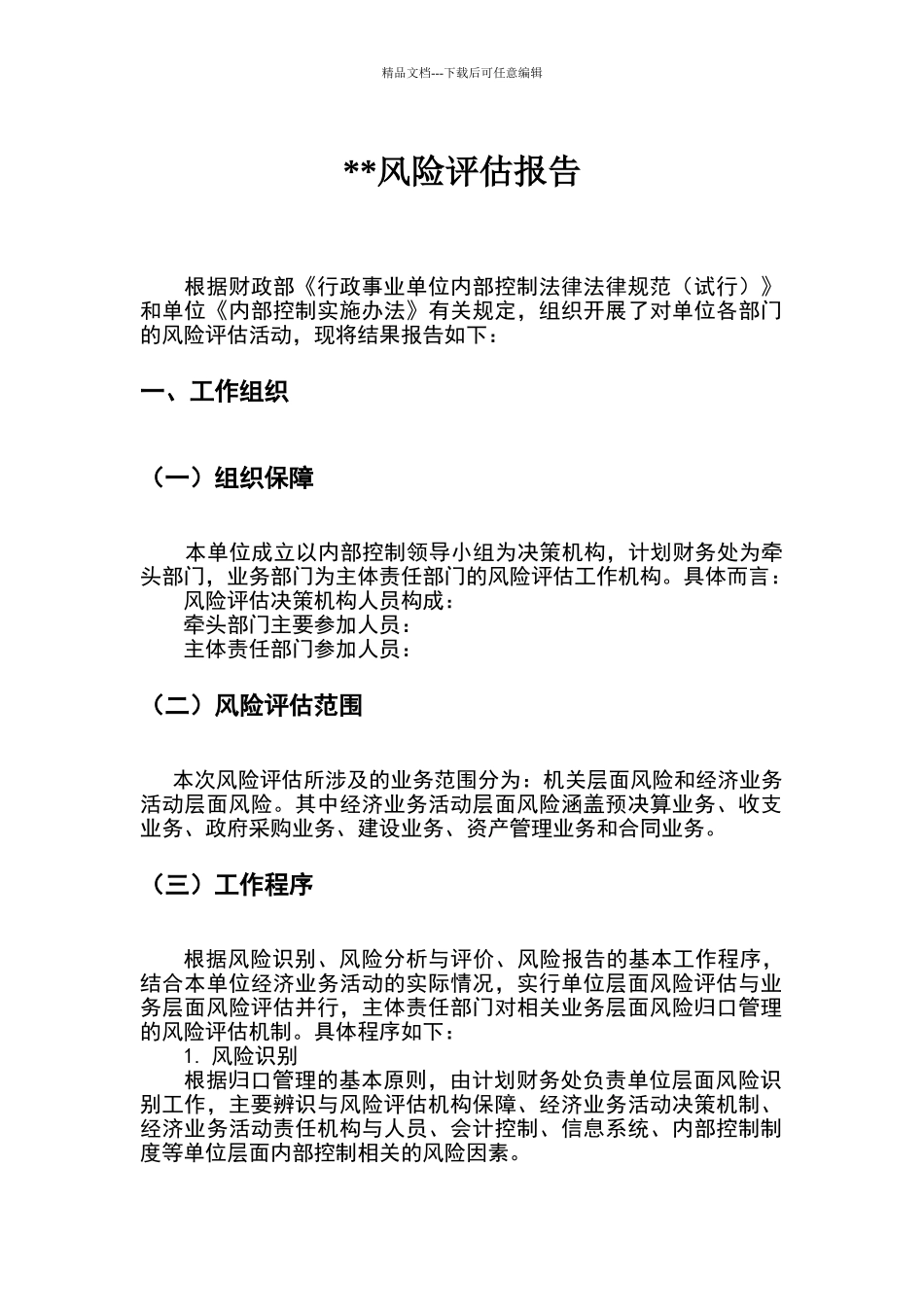 内控风险评估报告_第1页