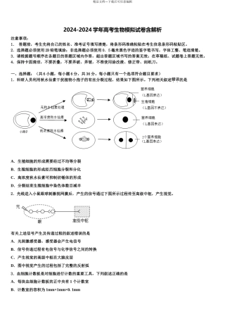 内蒙古包头市回民中学高三下学期第六次检测生物试卷含解析