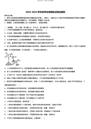 内蒙古巴彦淖尔市第一中学高三冲刺模拟生物试卷含解析